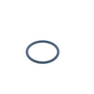 Image of Glow Worm 0020020724 O Ring