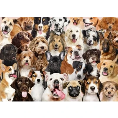 Image of Peter Pauper Press All the Dogs 1000 Piece Jigsaw Puzzle