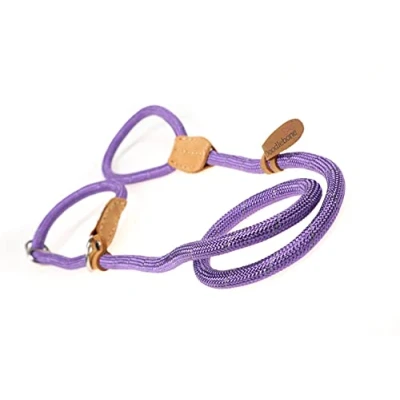 Image of Doodlebone Slip Lead, Violet, 12mm