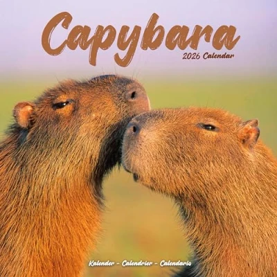 Image of Capybara Calendar 2026