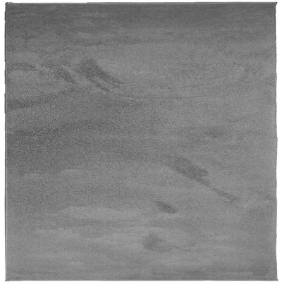 Image of vidaXL Rug OVIEDO Short Pile Anthracite 120x120 cm