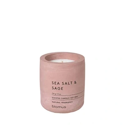 Image of Blomus Fraga Scented Candle Withered Rose S, Soy Wax in Concrete Look