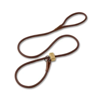 Image of Fenrir Slip Leash 1.4m Professional Dog Training Lead To Stop Pulling, Perfect For Walks, Easy Use, Spring Loaded Stopper, Light Weight And Durable (Brown)