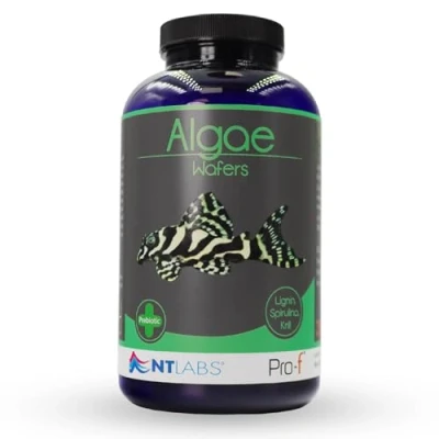 Image of NT Labs Pro f Algae Wafers, Food For Bottom Feeding Fish Species, Aquarium Food, Sinking 13mm Wafer, Nutritious Feed, SIZE 350gm