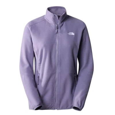 Image of THE NORTH FACE Glacier Jacket Lunar Slate XL