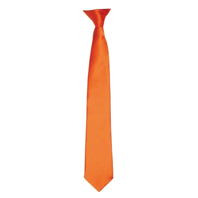 Image of Premier Colours Mens Satin Clip Tie (Terracotta) Teal One Size