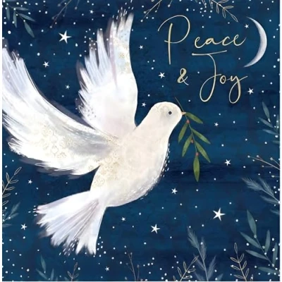 Image of Noel Tatt Charity Christmas Cards Pack of 10 with Artistic Dove and Moon Design Eco Friendly Xmas Multipack Envelopes
