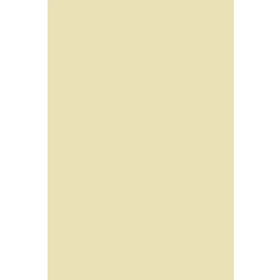 Image of Netuno 50x Cream Craft Paper A4 210 x 297 mm 8.27 11.7 inches 100gsm Splendorgel Ivory Printable Thick Printing for DIY Cards Origami brochures catalogues Card Stock