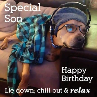 Image of Son Birthday Card Special Funny/Humorous Dog Design Lie Down, Chill Out &amp; Relax Made in the UK Eco Friendly