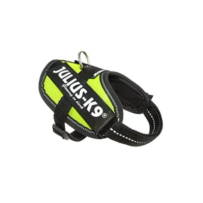 Image of Julius K9, 16IDC FNE B2, IDC Powerharness, dog harness, Size: Baby 2, UV Neon Green
