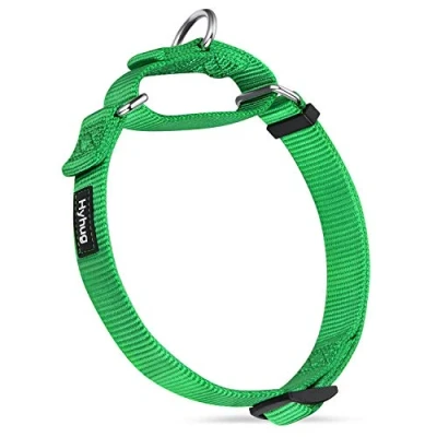 Image of Hyhug Pets Solid Color Not Escapable Martingale Collar, Heavy Duty Nylon Webbing for Medium Dogs Daily Use.(Medium,Lime Green)