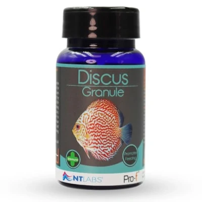 Image of NT Labs Pro f Discus Granule, High Protein Feed, Aquarium Fish Food, Sinking Nutritious SIZE 35gm