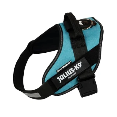 Image of IDC Powerharness, Size: 0/M, Turquoise
