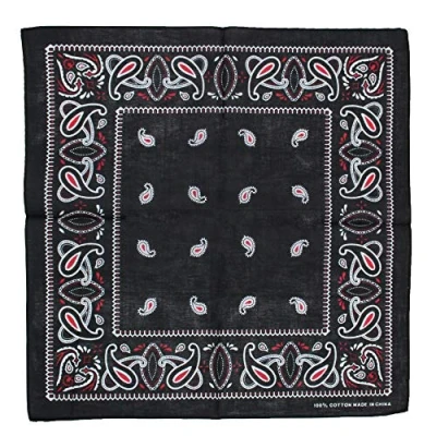 Image of Zac&#039;s Alter Ego Retro Vintage Style Cowboy Paisley Bandana/Neckerchief/Durag