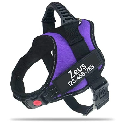 Image of PawPawify Personalised No Pull Dog Harness with Custom Name and Phone Number, Heavy Duty Pet Vest to Prevent Tugging, Pulling, or Choking, Training Walking (Purple, XXL Chest 33 46in)