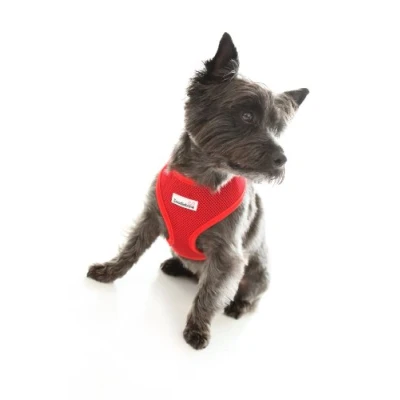 Image of Doodlebone Airmesh Dog Harness Padded Soft Breathable Gentle On Dogs Necks to Help Avoid Bruising Extra Small, Red
