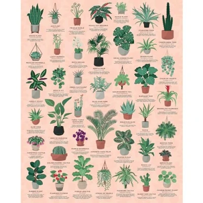 Image of Ridley&#039;s JIG058 House of Plants Jigsaw Puzzle, Green