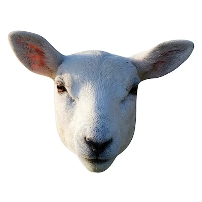 Image of Star Cutouts SM447 Sheep Mask Cardboard Amazing Talking Point So Realistic