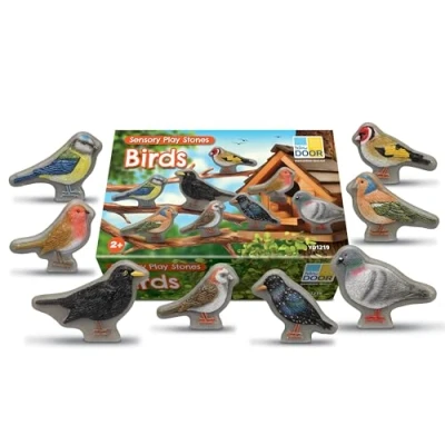 Image of Yellow Door Sensory Play Stones Birds Set of Eight Realistic Toy Fake Bird Small World Pretend Robin, Pigeon Figurines Early Educational Learning Mud Kitchen Outdoor