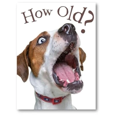 Image of Noel Tatt Male/Female Funny Birthday Card General for Men/Women &#039;How Old?&#039; Shocked Dog Eco Friendly and Recyclable