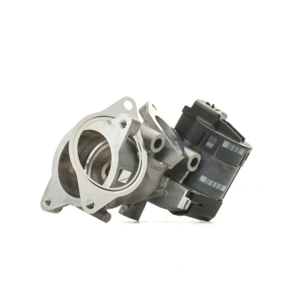 Image of 1231964, 1436390, 3M5Q9D475BA, 6M5Q9D475AA EGR valve DELPHI EG10396 12B1 without gaskets/seals FORD: MONDEO 4, Focus 2, S Max Mk1, VOLVO: V50, V70 3