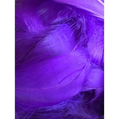 Image of Purple Feathers, 100 Pack