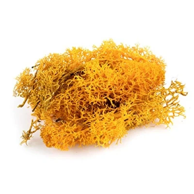 Image of War World Scenics Lichen Orange Moss Model Foliage 100g Railway Wargame Scenery Landscape Modelling Trees Bushes Hedges Diorama Basing Material