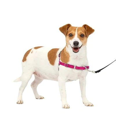 Image of PetSafe Easy Walk No Pull Dog Harness The Ultimate to Help Stop Pulling Take Control &amp; Teach Better Leash Manners Helps Prevent Pets on Walks, Small, Raspberry/Gray