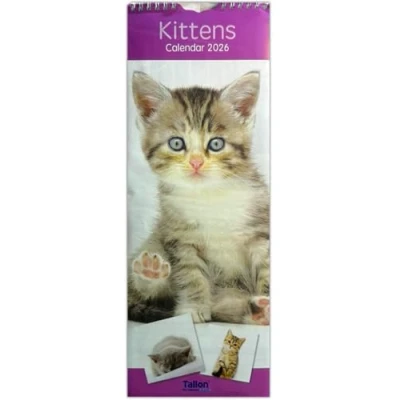 Image of 2025 Super Slim Month to View Spiral Bound Hanging Wall Calendar Home Office (Kittens)