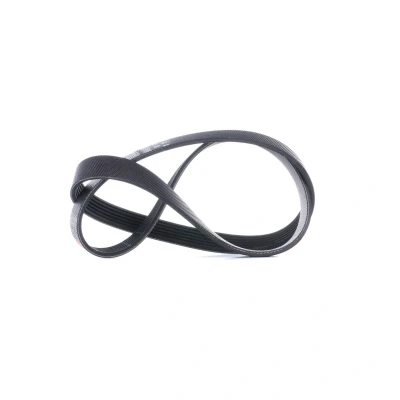 Image of 6PK1030 V ribbed belt GATES 6PK1030SF 1030mm 6 AutoMaster FORD: MONDEO 4 Turnier, FIESTA Van,