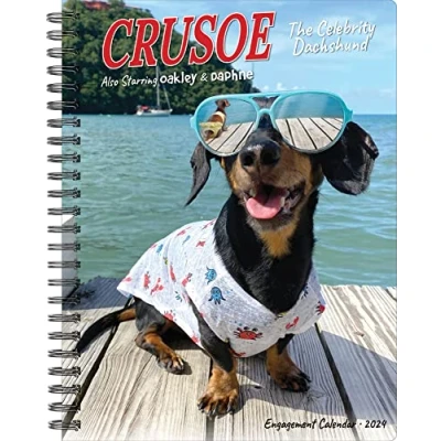 Image of Crusoe the Celebrity Dachshund 2024 6.5 X 8.5 Engagement Calendar