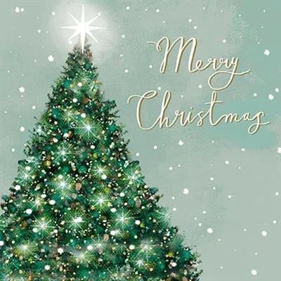 Image of Paper House Box of 18 Artistic Christmas Greeting Cards &#039;Bright Star&#039; 9 Each 2 Illustrated Designs From The Great British Card Company