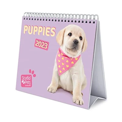 Image of Grupo Erik Studio Pets Dogs Calendar 2023 Desktop 7 X 8 Inches / 18 20 Desk 12 Month Planner Dog