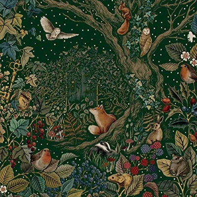 Image of Christmas Card Box. 8 Foiled and Embossed Cards. Secret Garden. Size 16 x cm Standard Postage.