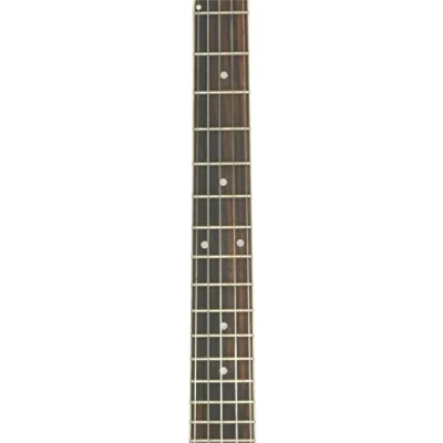 Image of Chord 5 String Banjo Set of Stainless Steel Strings Regular Light 09 11 13 20