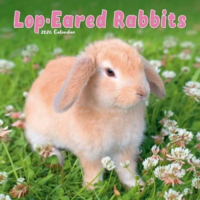 Image of Lop Eared Rabbits Calendar 2026