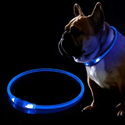 Image of LED Dog Collar, USB Rechargeable Flashing Collar for Night Safety, Adjustable, Waterproof, Bright Illuminated Dogs, One Size Fits All, Blue
