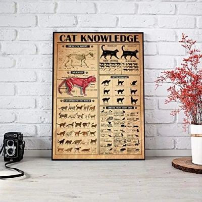 Image of TNND Cat Poster Knowledge Breeds Wall Art Kitten Guide Home Decor Facts About Best Gift Metal Sign 8x12 inches