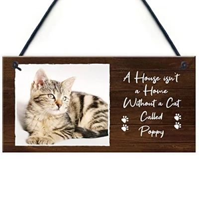 Image of RED OCEAN Personalised Photo Cat Sign Home Decor Lover Gift For Family