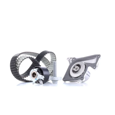 Image of 119A07049R Water Pump + Timing Belt Kit DAYCO KTBWP8860 NISSAN: NV200 Box Body / Estate, Qashqai 2, Juke, RENAULT: MEGANE 3, Captur