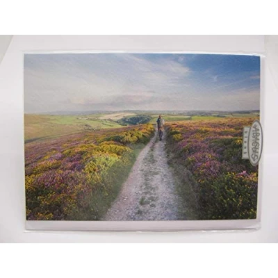Image of ABACUS WONDERFUL COLOURFUL FIELD OF FLOWERS BLANK BIRTHDAY GREETING CARD