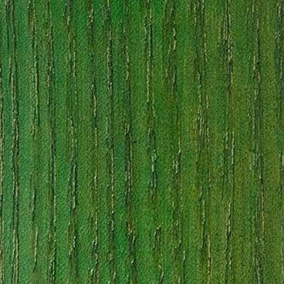 Image of WooDeeDoo Water Based Wood Stain Dye Ready to Use Environmentally Friendly Solvent Free Odour 2 L Green