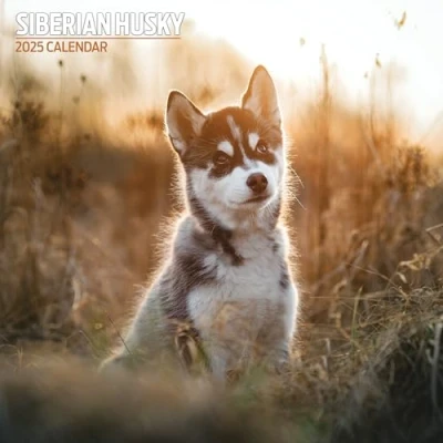 Image of Siberian Husky 2025 Traditional Calendar