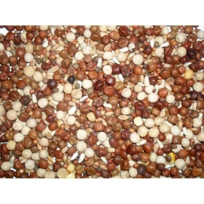 Image of Johnston &amp; Jeff Young Adult Bird High Protein No Maize Pigeon Corn, 20 kg