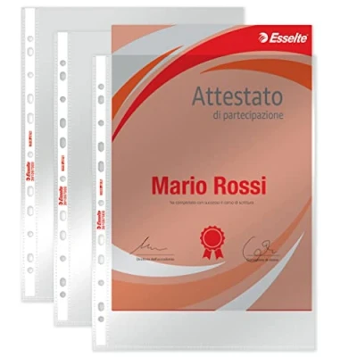 Image of Esselte Copy Safe 391097000 Office Envelopes Drilling, Shiny, 22 X 30 cm