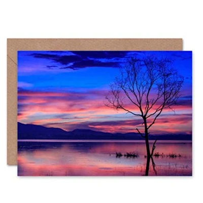 Image of Wee Blue Coo SUNSET WATER TREE PHOTOGRAPHY BLANK GREETINGS BIRTHDAY CARD ART