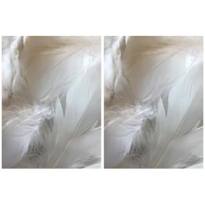 Image of White Feathers, 100 Pack (2 Pack)