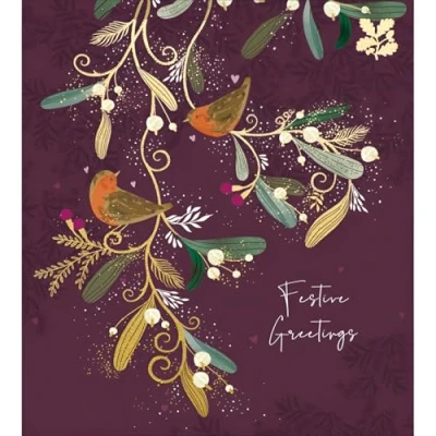 Image of Charity Christmas Cards Pack of 5 Sold in Aid the National Trust Special Finish Artistic Wintry Design Robins and Mistletoe Made UK Eco Friendly