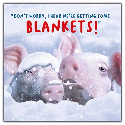 Image of Emotional Rescue Christmas Card Generic, Funny Card, Xmas Generic Cards Funny, Cards, Rude Cards,163x163mm