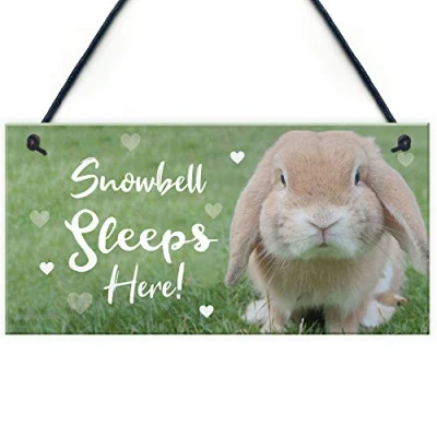Image of RED OCEAN Rabbit Sleeps Here Sign Lover Gift Ideas Door Hutch Funny Pet Accessories